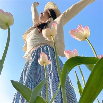 血色土地第二季